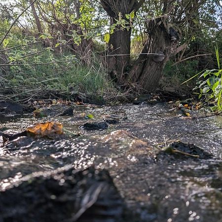 Ferienwohnungen Satkula Crostwitz Exterior foto